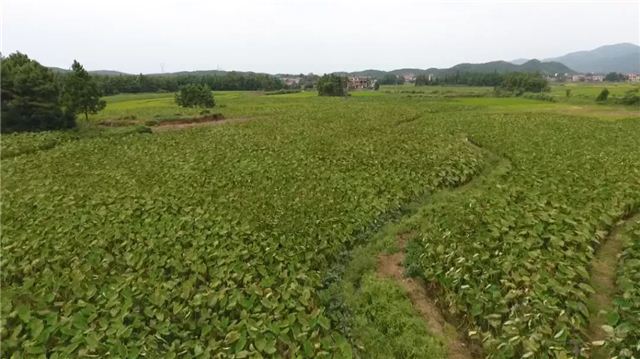 20553153627065508_105.jpg 20553153627065508_105.jpg