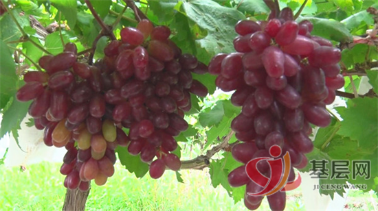 11231683044622529_92.png 11231683044622529_92.png