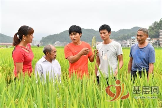 1131563270541693_92.jpg 1131563270541693_92.jpg