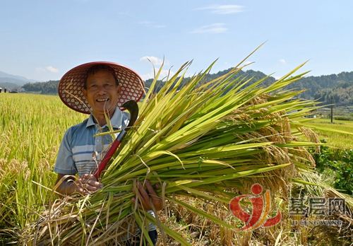 11331872633776331_92.jpg 11331872633776331_92.jpg