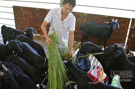 151018080391472_92.jpg 151018080391472_92.jpg