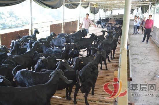 15105233802555606_92.jpg 15105233802555606_92.jpg