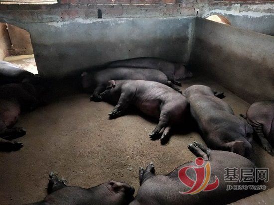 15423145718538857_92.jpg 15423145718538857_92.jpg