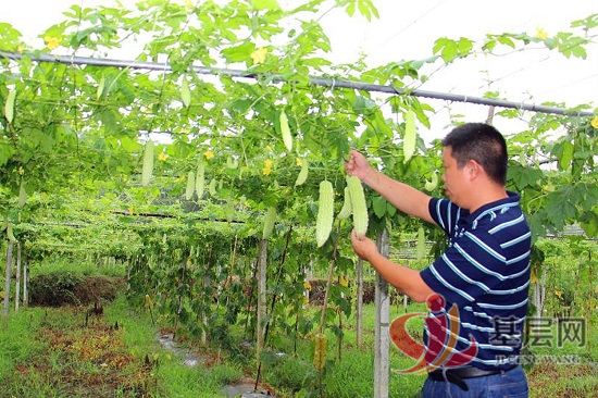 15425911596156509_92.jpg 15425911596156509_92.jpg