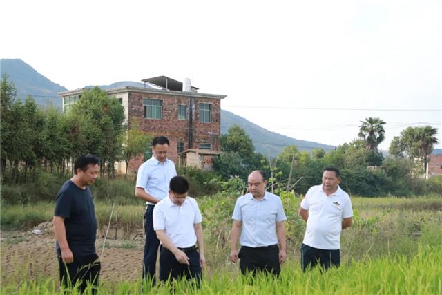 07440115405018626_105.jpg 07440115405018626_105.jpg