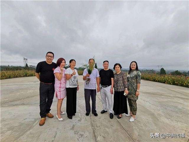 16041761102090248_106.jpg 16041761102090248_106.jpg