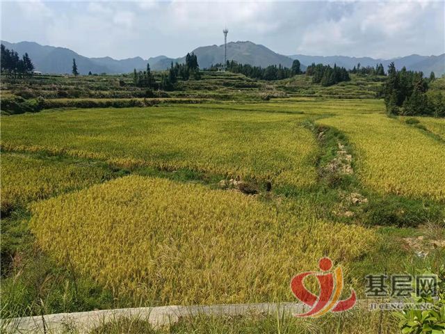 17325771961678930_75.jpg 17325771961678930_75.jpg