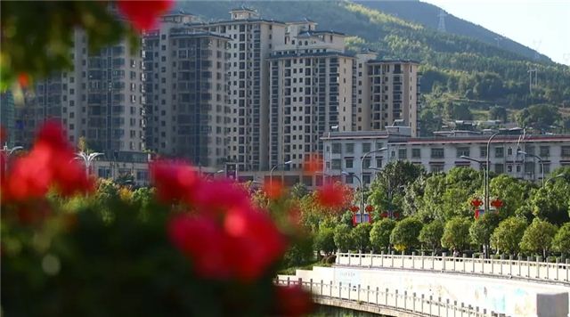 08251004042631662_105.jpg 08251004042631662_105.jpg