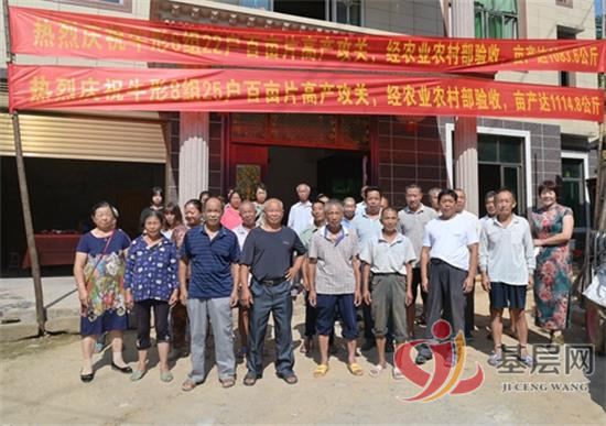 15295074108255832_92.jpg 15295074108255832_92.jpg