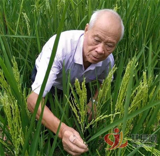 1532173716431129_92.jpg 1532173716431129_92.jpg