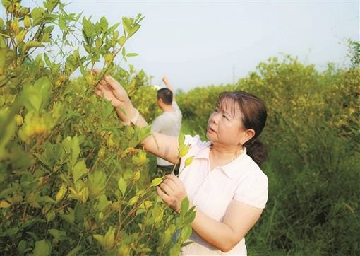 11181215716211644_105.jpg 11181215716211644_105.jpg