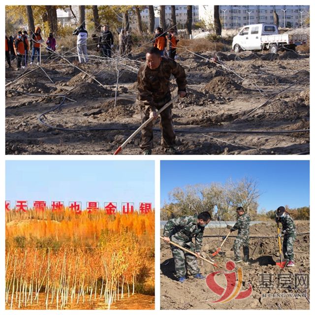 08512656114086079_75.jpg 08512656114086079_75.jpg