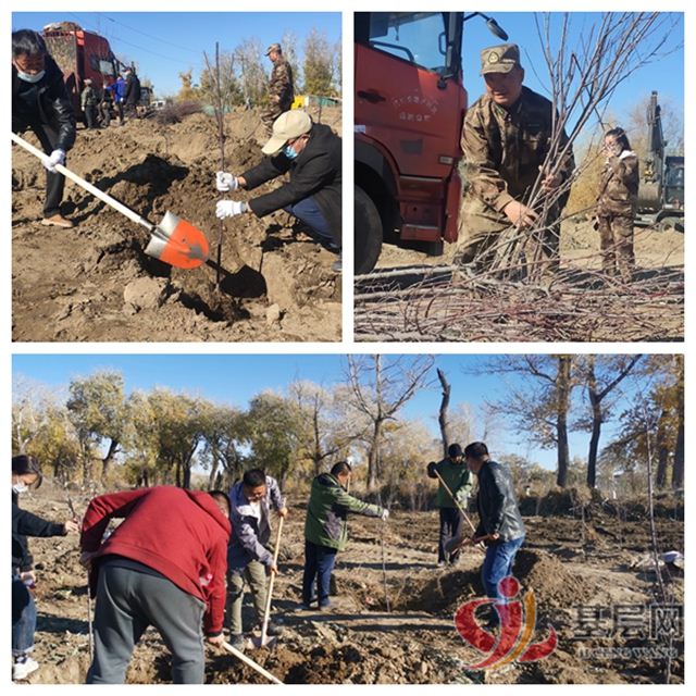 08521872767699731_75.jpg 08521872767699731_75.jpg