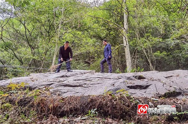 13351208407621574_105.jpg 13351208407621574_105.jpg