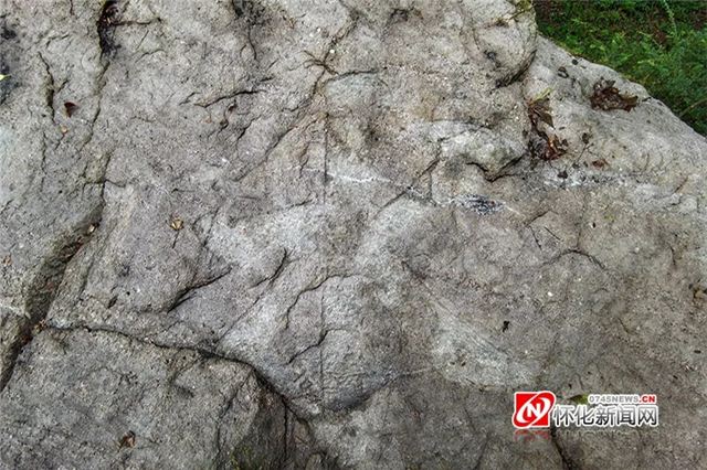 13364701015075321_105.jpg 13364701015075321_105.jpg