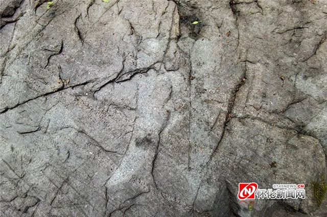 13373329544856247_105.jpg 13373329544856247_105.jpg