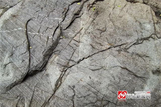 13381352792232905_105.jpg 13381352792232905_105.jpg