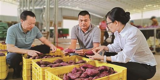 09464125688895880_105.jpg 09464125688895880_105.jpg