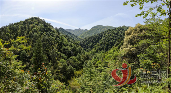 15493250205033372_92.png 15493250205033372_92.png