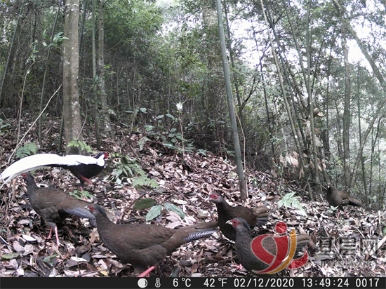 15511646066900994_92.png 15511646066900994_92.png