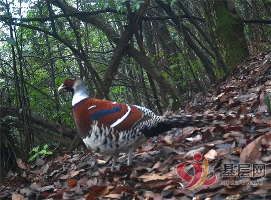 1552290163765779_92.png 1552290163765779_92.png