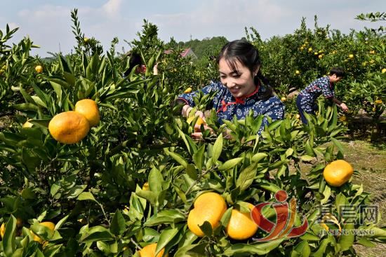 06493321365254497_92.jpg 06493321365254497_92.jpg