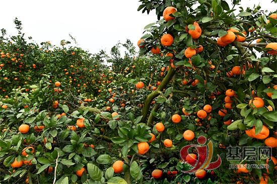 06545582228948391_92.jpg 06545582228948391_92.jpg