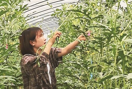 09442677789546954_105.jpg 09442677789546954_105.jpg