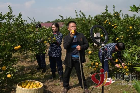 15284024693559990_92.jpg 15284024693559990_92.jpg