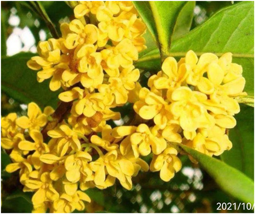 15291021463141834_83.png 15291021463141834_83.png