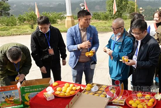 15310010125636831_92.jpg 15310010125636831_92.jpg