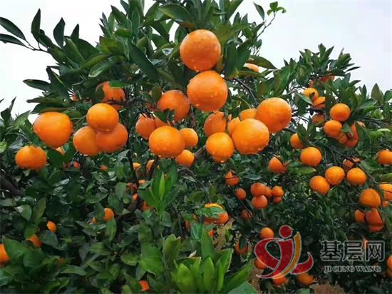 08401212627880258_92.jpg 08401212627880258_92.jpg