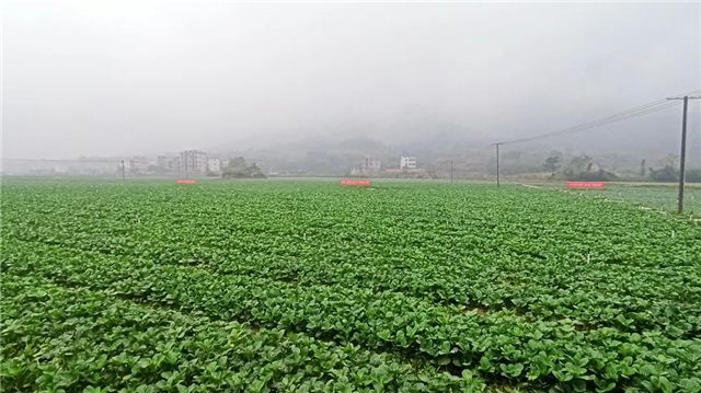 12462723974386488_105.jpg 12462723974386488_105.jpg