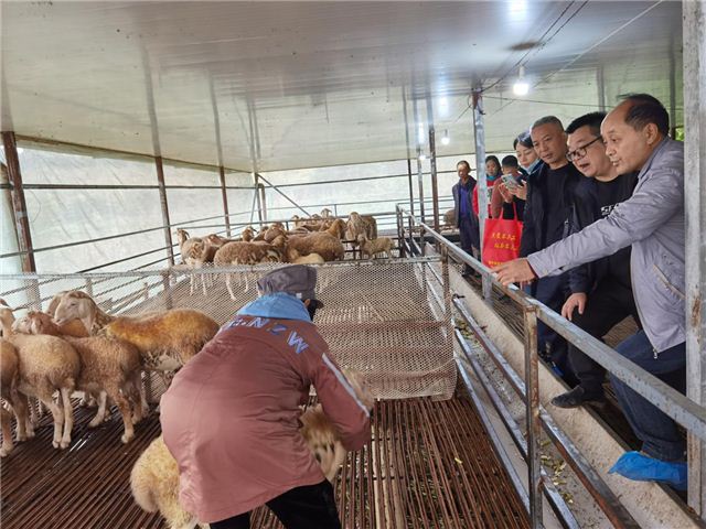 15184270268727872_106.jpg 15184270268727872_106.jpg