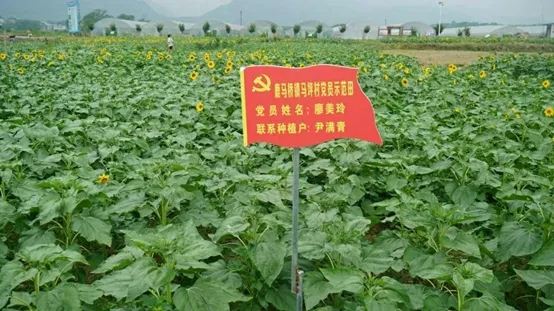 10014427834005329_105.jpg 10014427834005329_105.jpg