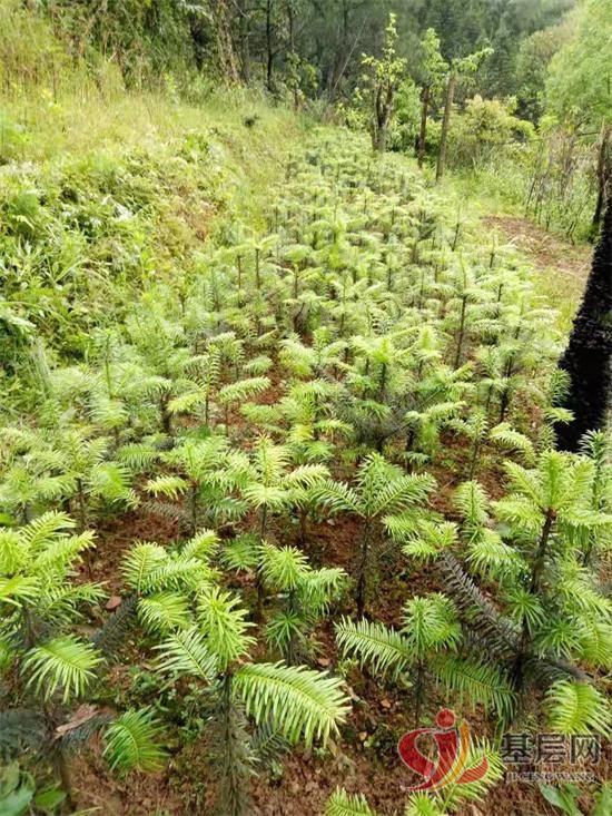 21425298288892605_92.jpg 21425298288892605_92.jpg