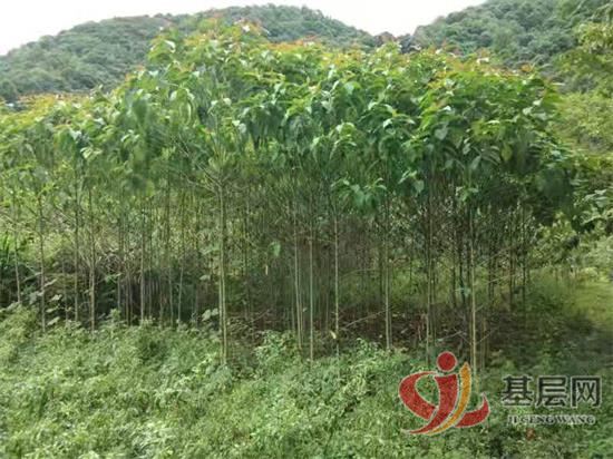 21441524177053406_92.jpg 21441524177053406_92.jpg