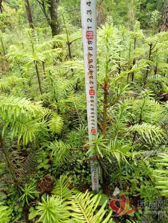 21450297782105426_92.jpg 21450297782105426_92.jpg