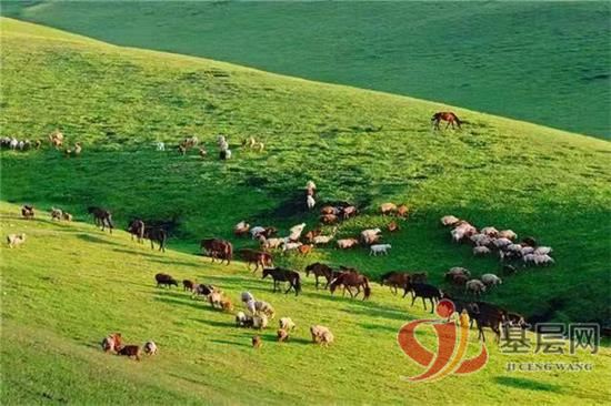 21461996402528791_92.jpg 21461996402528791_92.jpg