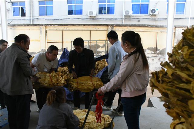 08002236367894537_108.jpg 08002236367894537_108.jpg