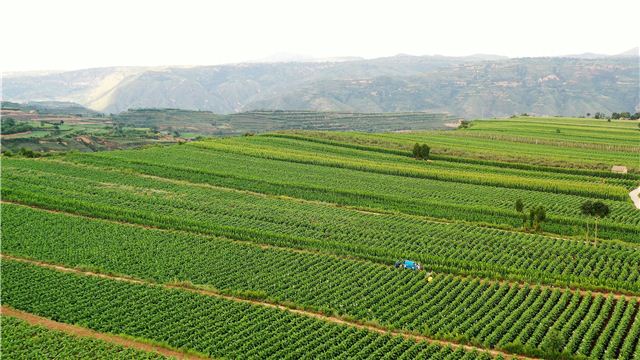 08011421811541211_108.jpg 08011421811541211_108.jpg