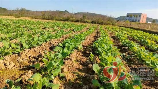 20135326041621800_92.jpg 20135326041621800_92.jpg