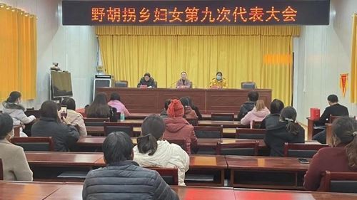 13181043037008438_5.jpg 13181043037008438_5.jpg