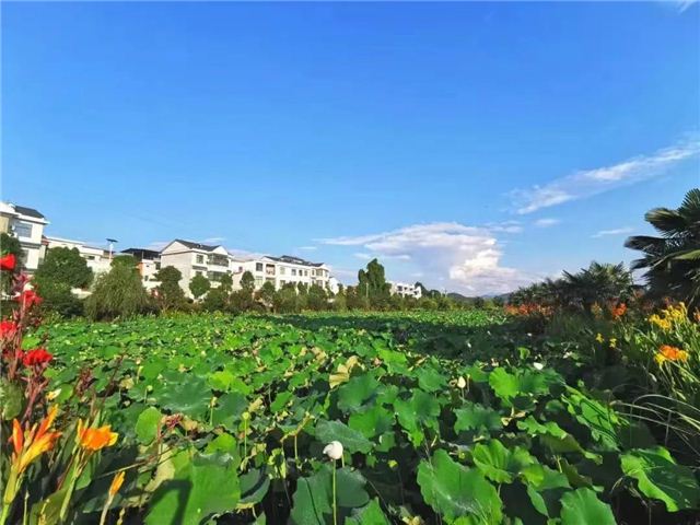 10122012357118188_105.jpg 10122012357118188_105.jpg