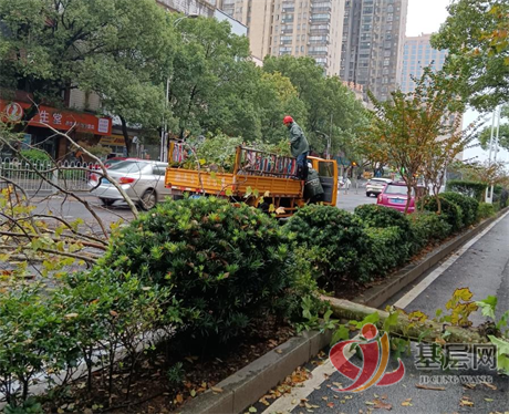 1558290593344492_105.png 1558290593344492_105.png