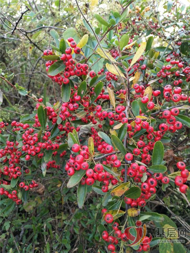 14290737514997050_75.jpg 14290737514997050_75.jpg