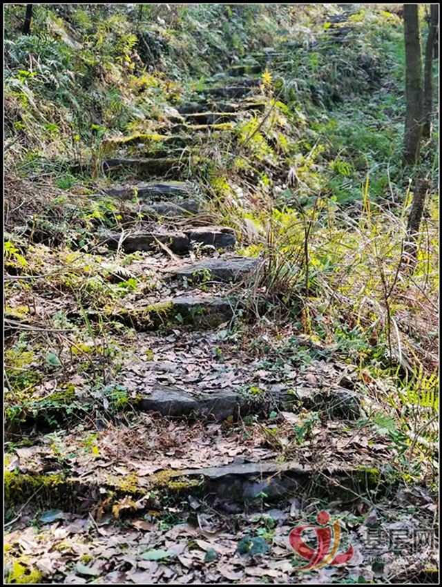 10260589895026192_75.jpg 10260589895026192_75.jpg