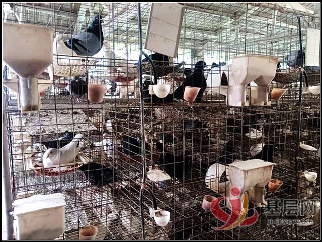 12535448333321331_75.jpg 12535448333321331_75.jpg