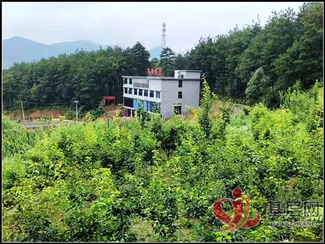 13084131362786242_75.jpg 13084131362786242_75.jpg