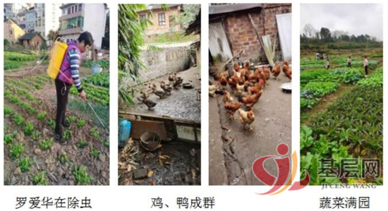 15274939644061362_92.png 15274939644061362_92.png